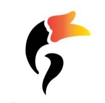 Logo AmazingStock