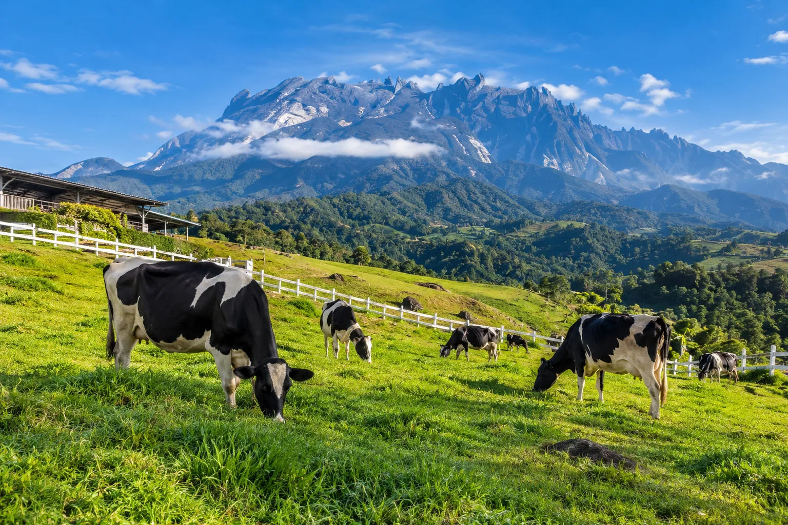 Transportasi Kota Kinabalu ke Kundasang